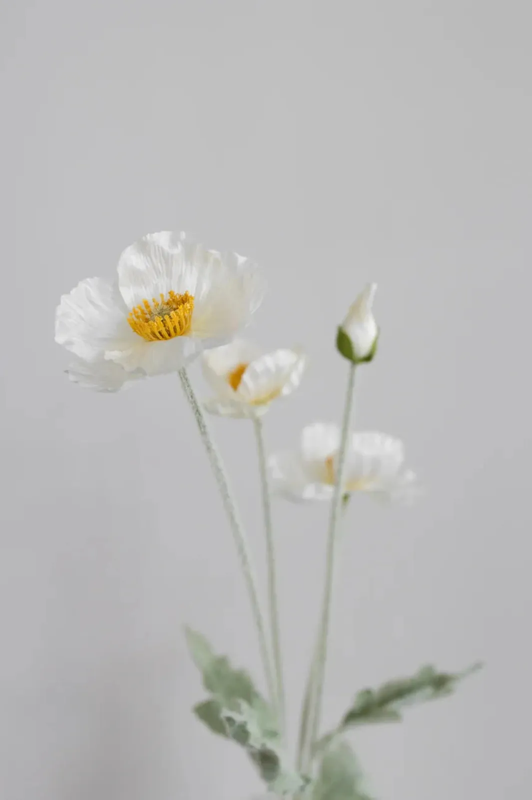 Online Bloom Objects Artificial Poppy 02-132 Cream