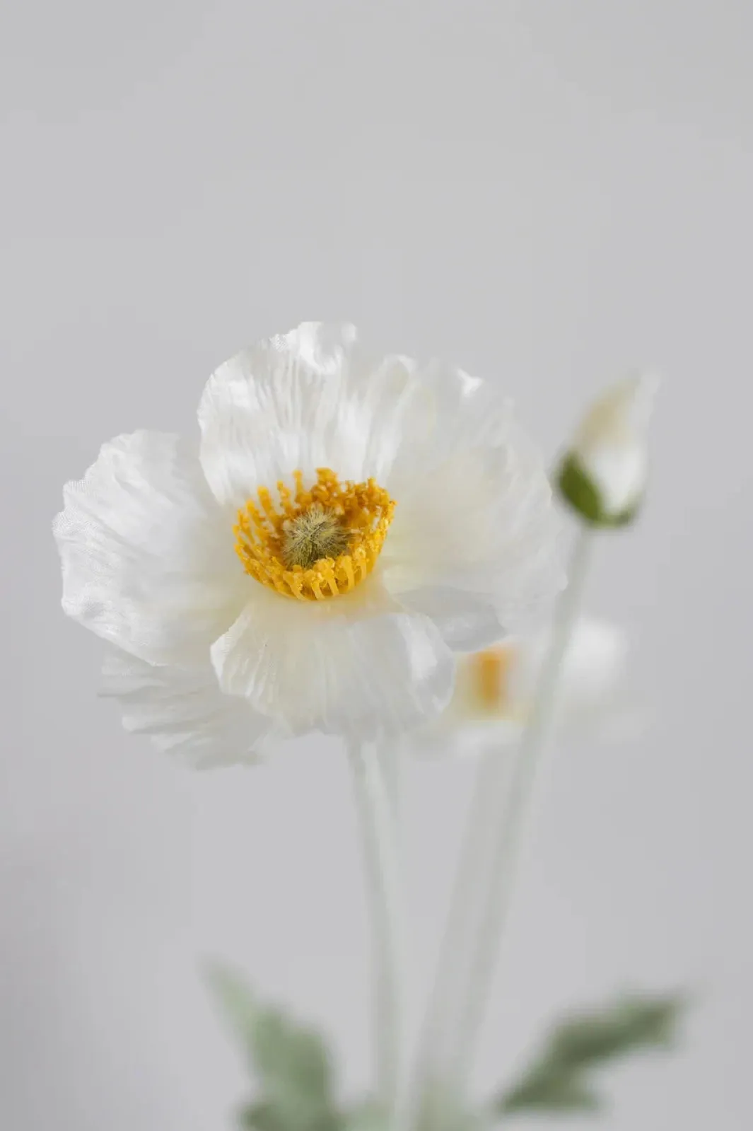 Online Bloom Objects Artificial Poppy 02-132 Cream