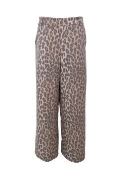 Best Black Colour Bcalice Pant 41036 Leo
