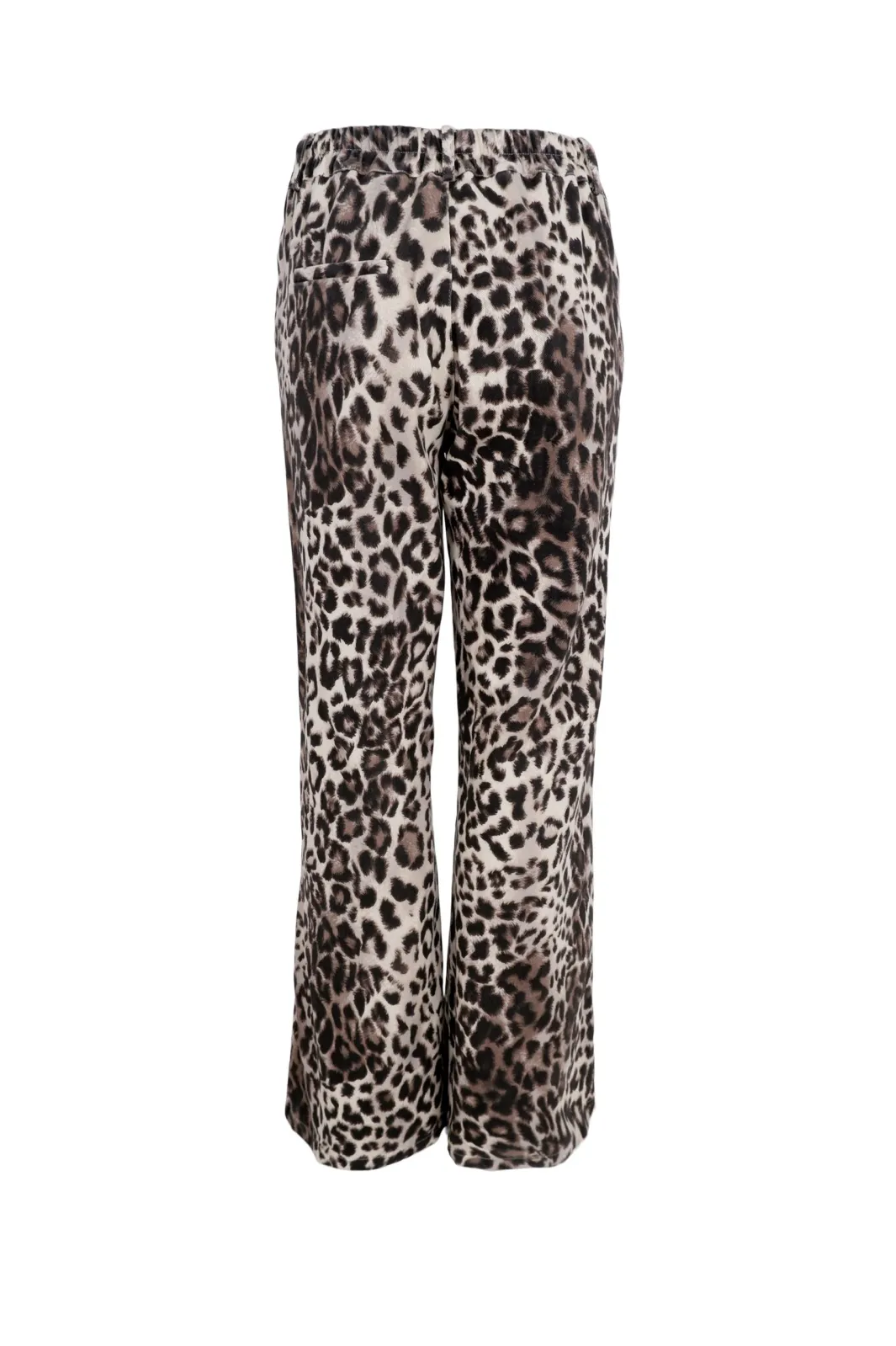Online Black Colour Bcneel Printed Pant Leo