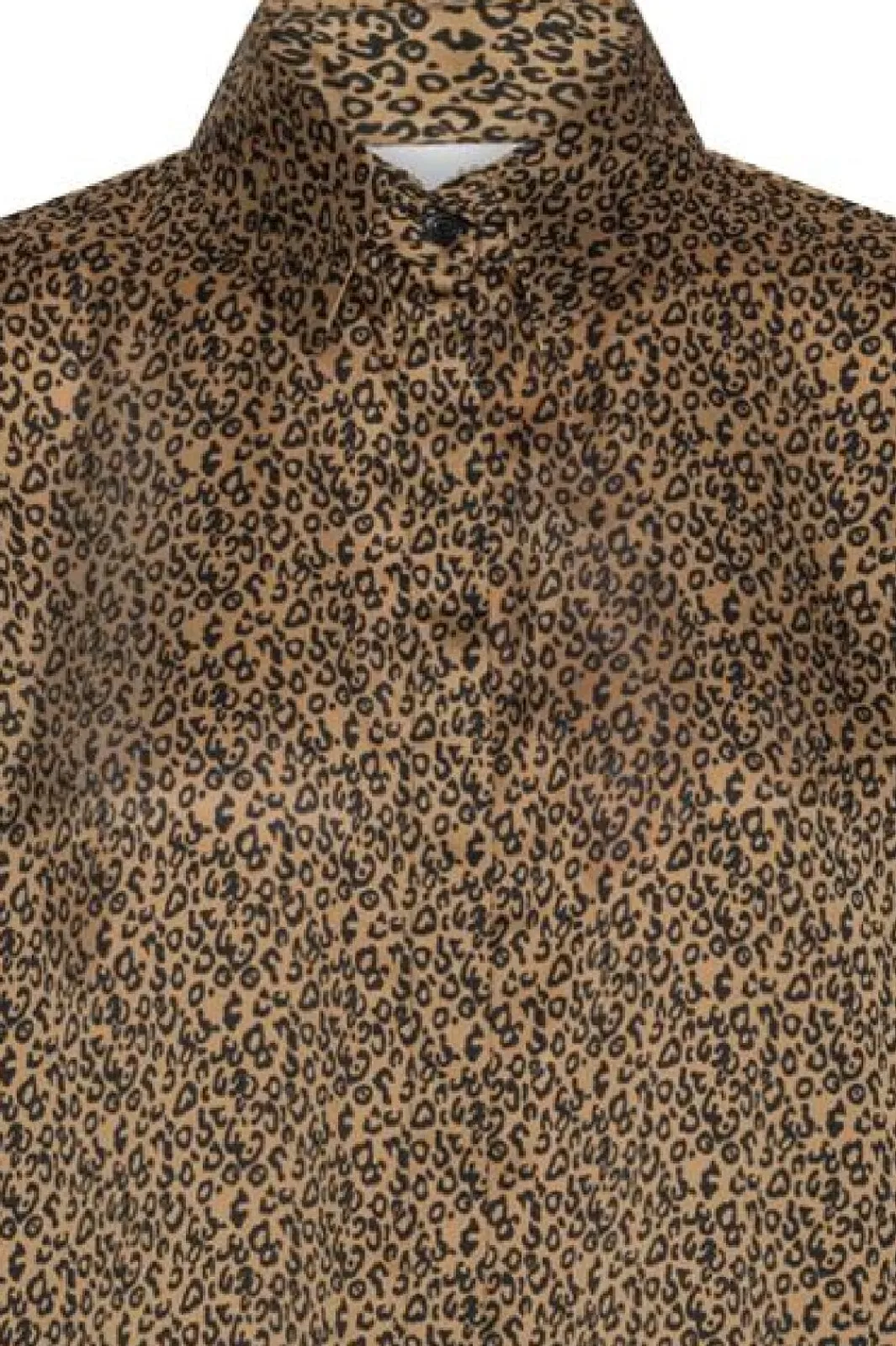 Best Karmamia Honey Shirt 2011 Micro Leo