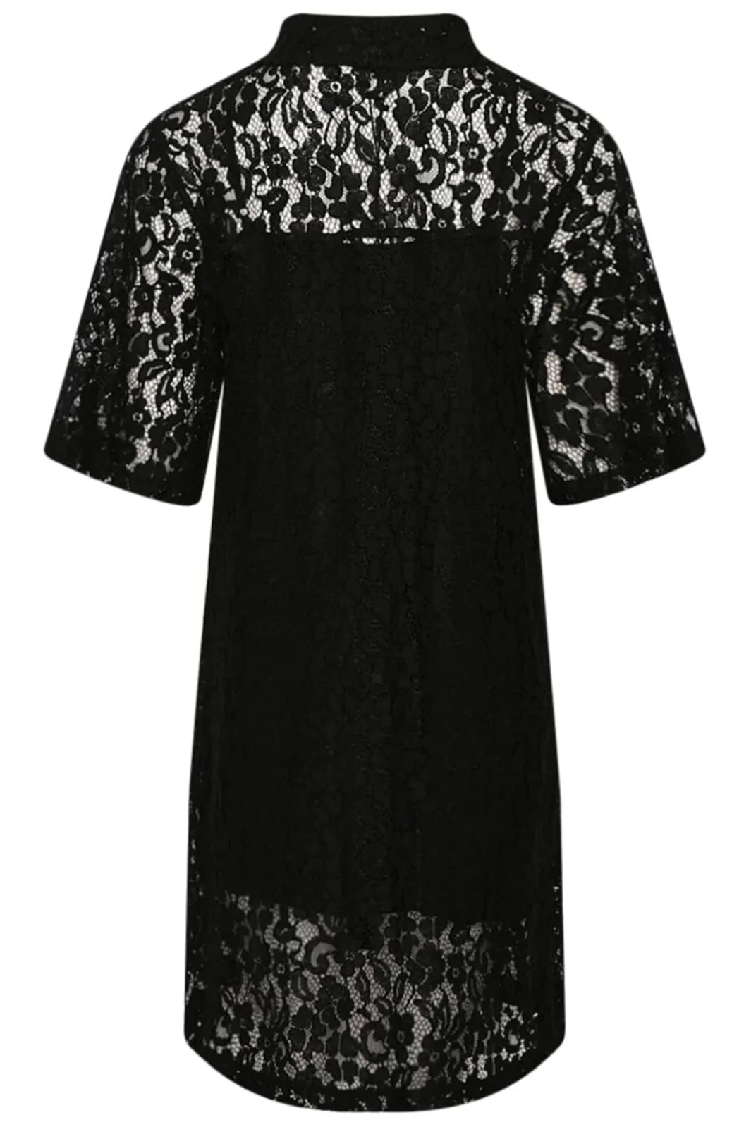 Online Noella Jozie Dress 11890057 004