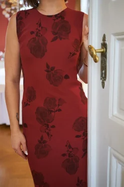 New Neo Noir Kelsa Rose Dress 167233 321