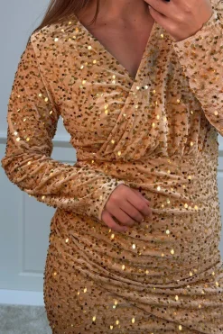 Best A-bee Lorraine dress Gold