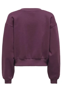 Hot Only Onlbonet L/S O-Neck Swt
