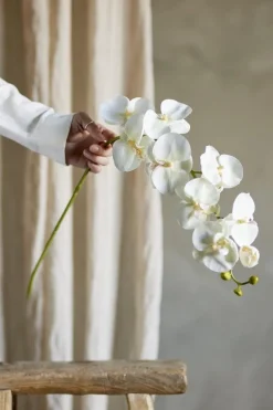 Hot Bloomingville Orchid Stilk, Hvid, Kunstige Blomster 82072093 White