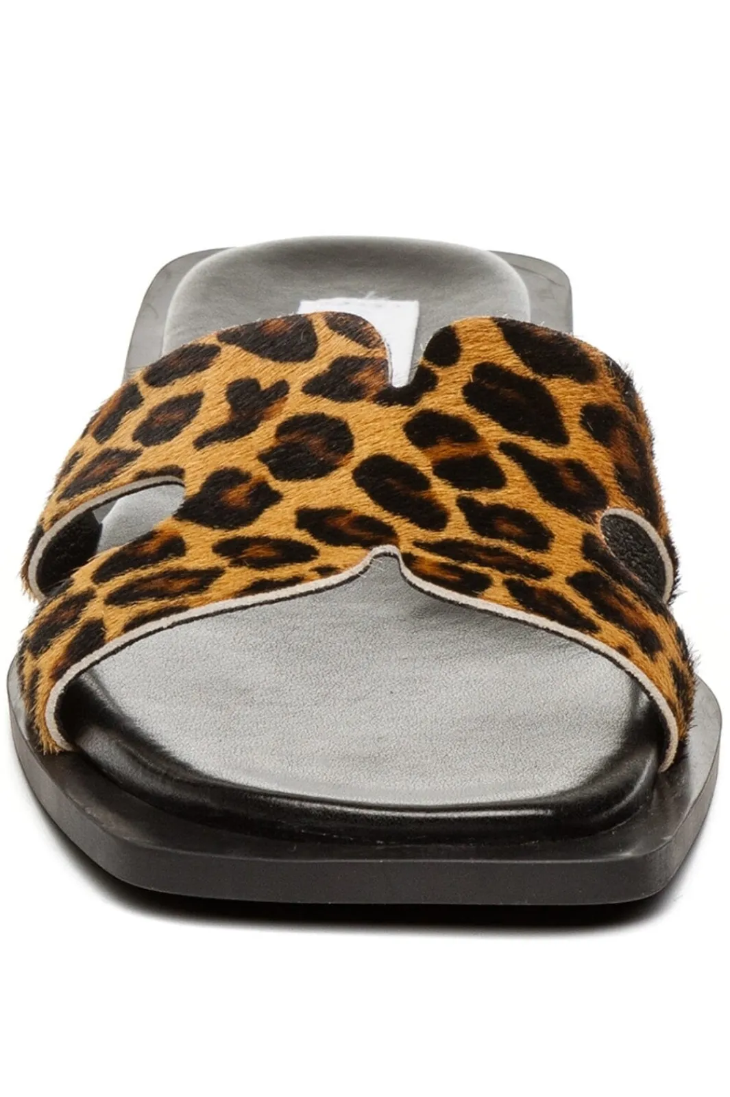 Discount Steve Madden Sofia-L SM11003524 LEOPARD LEATHER 969